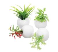 Milisten 4 Piezas Planta En Maceta Suculenta De Simulación Kit De Bricolaje Casa De Muñecas Plantas En Macetas para Casa De Muñecas Muñecas Mini Sirena De Jardín Suculento Abdominales