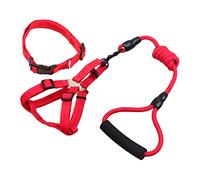 Milisten Arnés y Correa Mascotas 3piezas/Set Collar 8 Mm x 120 Cm Ajustable y Perros