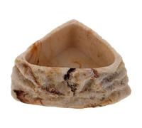 Milisten Cuenco para Reptiles y Tortugas Resistente Resina Antideslizante Plato de Agua y Alimento para Reptiles Fácil de Limpiar y Uso Prolongado para Terrarios y Mascotas Pequeñas