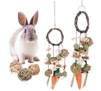 Milisten Juego de Juguetes Masticables Colgantes para Jaula de Conejo Set de 4 Piezas con Pelota de Pasto Bola de Cuerda de Maíz y Bola de Calabacín Accesorios para Roedores Pequeños y