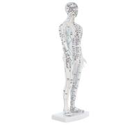 Milisten Modelo de Acupuntura Humano Masculino Blanco Modelo de Meridianos con Puntos de Acupuntura para Práctica y Enseñanza de Medicina Tradicional