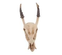 Milisten Reptile Resin Hideout Skull Medium Resin Cave For Snake Terrariums Lizard and Turtle Habitat Decoration Safe Lightweight Hiding Place For Amphibians