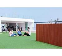 Mimbre Lop ecológico Mimbre catral