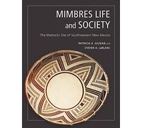 Mimbres Life and Society: The Mattocks Site of Southwestern New Mexico