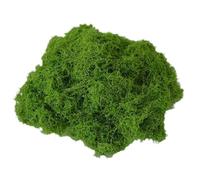Mimoqk Artificial Garden Grass, Decorative Moss Filler, Handmade Green Craft Material, Colorfast Aquarium Scenery Moss, Breathable Landscaping Decor for Terrarium Walls Paintings Home Garden Use 100g