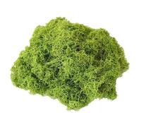Mimoqk Artificial Garden Grass, Decorative Moss Filler, Handmade Green Craft Material, Colorfast Aquarium Scenery Moss, Breathable Landscaping Decor for Terrarium Walls Paintings Home Garden Use 100g