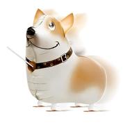 Mimoqk Globos de para perros, suministros para eventos festivos, bonito globo de película de aluminio con acabado brillante, accesorio decorativo para mascotas para celebraciones, decoraciones
