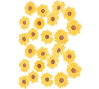 MINAOLULUS 24 Flores Secas Prensadas de Margarita para Manualidades, Decoración de Fundas de Teléfono y Scrapbooking, Flores Pequeñas Naturales para Bricolaje, Suministros Artesanales,