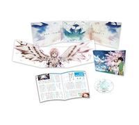 Minazuki Su - Sora No Otoshimono Final Eternal My Master [Edizione: Giappone] [Italia] [DVD]