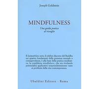Mindfulness. Una guida pratica al risveglio (Civiltà dell'Oriente)