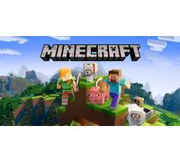 Minecraft (Nintendo)