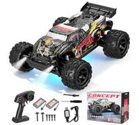 MINENICE 1:18 Coche Teledirigido 2,4 GHz RC Todoterreno4WD,40+ km/h | Avec Lumières, Larga Autonomía, USB Carga, Buggy Crawler, para Niños y Adultos(9307E)