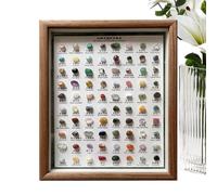Mineral Specimen Kit, 80-Piece Rock Collection Set, Natural Rough Crystals in Wooden Frame, Decorative Educational Display for Home & Learning, 10.83x8.86 inches