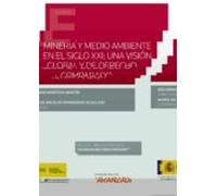 Mineria Y Medio Ambiente En El Siglo Xxi: Una Visión Global Y Derecho
