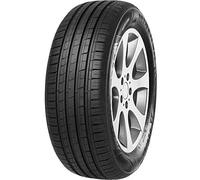 MINERVA 205/60R1696V MINERVA F209