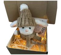 Mini abrazo de conejo en una caja, bonito regalo de Pascua, bonita muñeca de conejo de Pascua con luz LED, bonito adorno de conejo de ganchillo, decoración cálida de conejo para el hogar (caqui, 18 x