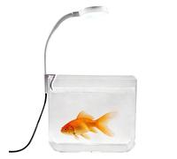 Mini acuario, con iluminación de pinza y base antideslizante transparente - Acuario decorativo para luchador en la oficina - Para principiantes familia casa apartamento oficina hotel pescado
