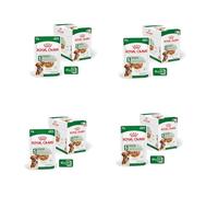 Mini Adult | Comida húmeda para Perros | 4 x 12 x 85 g | Trocitos en Salsa | Royal Canin | Alimento completo | Para perros pequeños adultos | Energía adaptada | Pack de 4