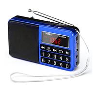 Mini Altavoz PRUNUS Radio J-429 SW Reproductor MP3 SW Am(MW) FM con Puerto para Tarjeta TF Memoria USB (Ojo:No se Puede Fijar Las emisoras/No se Puede memorizar o borrar Las emisoras manualmente)