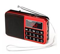 Mini Altavoz PRUNUS Radio J-429 SW Reproductor MP3 SW Am(MW) FM con Puerto para Tarjeta TF Memoria USB (Ojo:No se Puede Fijar Las emisoras/No se Puede memorizar o borrar Las emisoras manualmente)