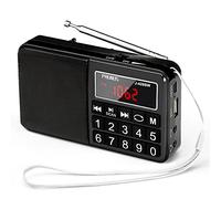 Mini Altavoz PRUNUS Radio J-429 SW Reproductor MP3 SW Am(MW) FM con Puerto para Tarjeta TF Memoria USB (Ojo:No se Puede Fijar Las emisoras/No se Puede memorizar o borrar Las emisoras manualmente)