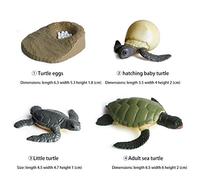 Mini Animal Gallo Hormiga Rana Tortuga Ciclo de Crecimiento Figuras de Acción de PVC Juguete de Muñeca, Mejora la Imaginación y la Creatividad, Ideal para Enseñar y Exhibir, Recomendado