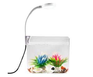 Mini - Base antideslizante con iluminación de clip, para mesa Betta, salón, dormitorio de casa | Robusto mini para principiantes, adultos y niños, Consider