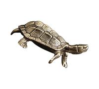 mini bonsái con para escritorio