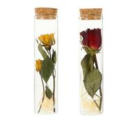 Mini Botellas de Deseos de Vidrio 2 Piezas con Flores Secas