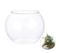 Mini Bowl Desktop Aquarium - ABS Transparent Small Or Large 12.5 cm Or 18 cm - Clear Tank For Turtle Moss Aquatic Plants - Easy Clean Home Decor
