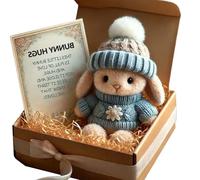 Mini Bunny Hug Lindo regalo de Pascua, Mini Bunny Hug Cute Cute Easter Gift Felpa, Conejo de peluche con gorro de punto y pompón, conejo en una caja abrazando a un conejo positivo en una caja, abraza