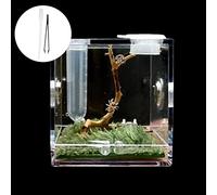 Mini caja ecológica de plástico para reptiles, vista completa de 360°, caja de cría visualmente atractiva para pequeñas arañas, grillos, escarabajos y más, fácil de limpiar y usar, contiene musgo y