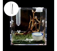 Mini caja ecológica de plástico para reptiles, vista completa de 360°, caja de cría visualmente atractiva para pequeñas arañas, grillos, escarabajos y más, fácil de limpiar y usar, contiene musgo y