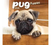 Mini calendario 2026 de Pug Puppies