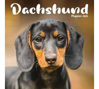 Mini calendario de cachorros salchicha 2026