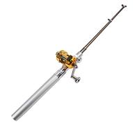 Mini caña de Pescar de Bolsillo y bolígrafo de Carrete Dorado - Plata - Carpa pequeña y caña de Pescar y Carrete de fósforo - Regalo para Pescador - por TRIXES
