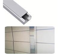 Mini canaletas para Cables eléctricos, Kit de canalización de Cables Cuadrados, Montaje con Pegamento y Tornillo de 100cm, Varios tamaños, Negro y Plateado(Silver 10 PCS,W 50 MM H 30 MM)