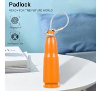 Mini candado de huella digital, cerradura de puerta, candado inteligente, cerradura de gabinete, cerradura antirrobo, candado de equipaje para gimnasio, cerraduras de huellas (Naranja)