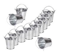 Mini Cubos de Metal 12 Piezas Pequeños Cubos de Metal para Plantas De Jardinería Decoración De Fiestas En Casa 7,5 x 8 x 5,5 cm