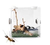 Mini de Insectos | Funda Hábitat para Reptiles de Acrílico Transparente para Spider Lizard Geckos Caracoles - Cajas portátiles para la cría de reptiles para mascotas rastreras,