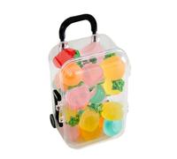 Mini Diminutas Frutas Resinosas 20 Piezas de Figuras Luminosas con Maletín | Accesorios para Jardín de para Niñas y Niños Hogar Apartamento Jardín Mágico Acuario Casita Muñecas Manualidades