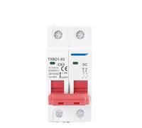 Mini Disyuntor Solar De 2 Polos CC, 1000 V, Interruptor De Batería, 6 A, 10 A, 16 A, 20 A, 25 A, 32 A, 40 A, 50 A, 63 A, MCB De CC For Sistemas Fotovoltaicos.(25A)