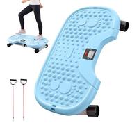 Mini Escalera : pequeño Equipo de Entrenamiento en casa con Funcionamiento Suave silencioso diseño Que Ahorra Espacio, Entrenador Cardiovascular para Ejercicio de Cuerpo Completo