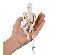 Mini esqueleto de juguete para niños de 7, 87 pulgadas, modelo de esqueleto de mesa decorativo con articulación móvil desmontable de Halloween para la enseñanza de la fiesta de Pascua de Halloween.