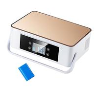 Mini Estuche de Viaje para refrigerador de insulina, refrigerador, Caja refrigeradora de insulina portátil con asa Que Mantiene el enfriamiento a 2-8 ℃ para automóvil, Viajes, hogar, 1 batería Dorada