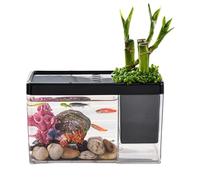 Mini Fish Tank - Clear Desktop Betta Aquarium Bowl, Small Space Decorative Fish Habitat and Storage Organizer, Creative Student Desk Accessory | Aquatic Display Concept, Home Office Use