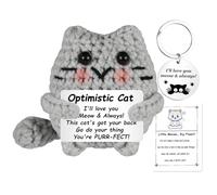Mini Gato Positiva Divertida Muñeca,Juguetes Peluche Muñeca Punto Pocket Hug Muñeca de Lana Adornos Positivos para el Hogar Regalo Divertidos para Mujeres Hombres Novia Novio Amigo Familia Boys Girls