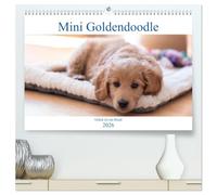 Mini Goldendoodle - Glück ist ein Hund (hochwertiger Premium Wandkalender 2026 DIN A2 quer), Kunstdruck in Hochglanz: Mini Goldendoodles sind eine ... zwei der liebevollsten Hunderassen.