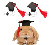Mini Gorras de Graduación, 2 Piezas Birretes Pequeños de Graduación, Bachelor Hat con Borla, Sombrero para Mascotas, Ajustable, Decoración para Fiesta, para Mascotas Pequeñas (C)