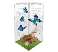 Mini hábitat para insectos - Terrario transparente para insectos | Contenedor transparente para reptiles | Jaula acrílica para animales | Caja pequeña para exhibir mascotas | Caja para invertebrados |